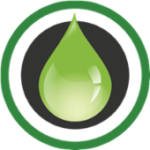 Essential Oils for Abundant Living (Digital Only)