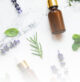Healing with Essential Oils eBook Bundle - Image 5