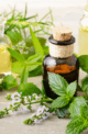 Healing with Essential Oils eBook Bundle - Image 4